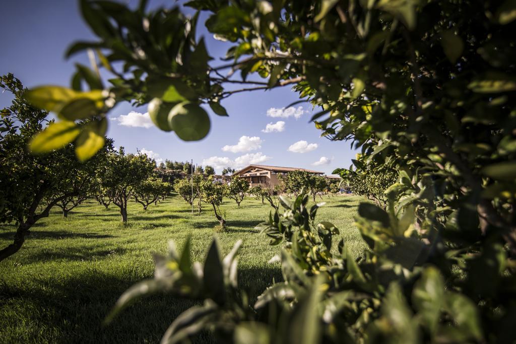 Agriturismo Il Giriatello โครโตเน ภายนอก รูปภาพ