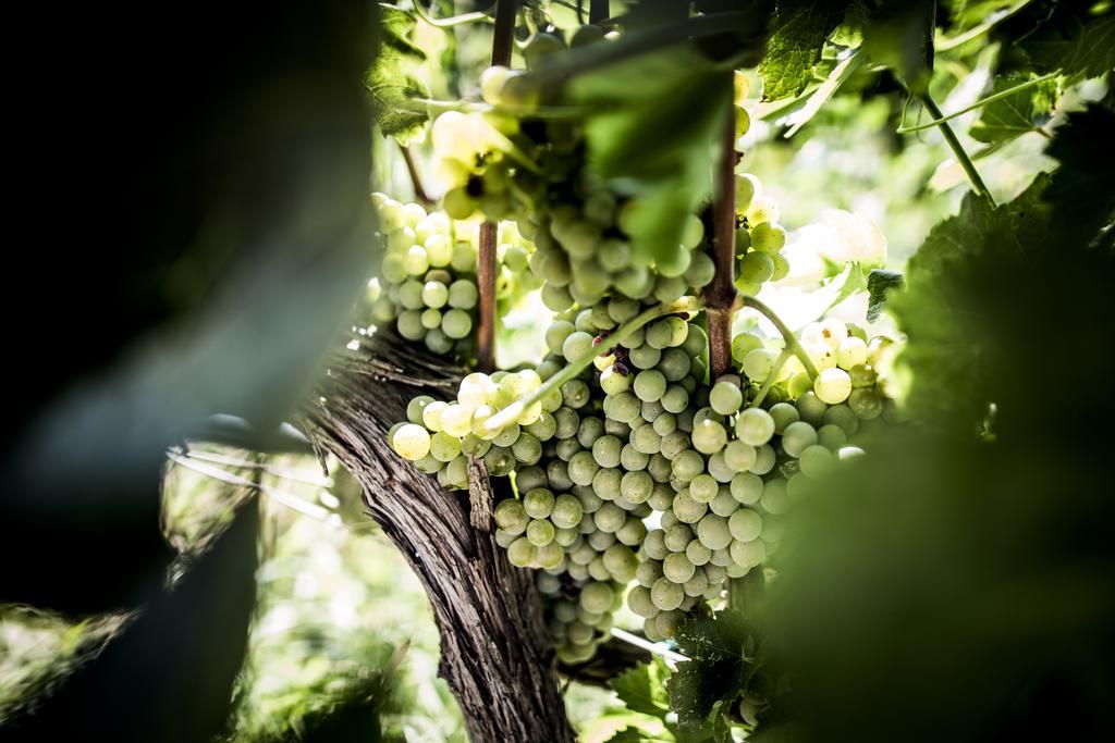 Agriturismo Il Giriatello โครโตเน ภายนอก รูปภาพ
