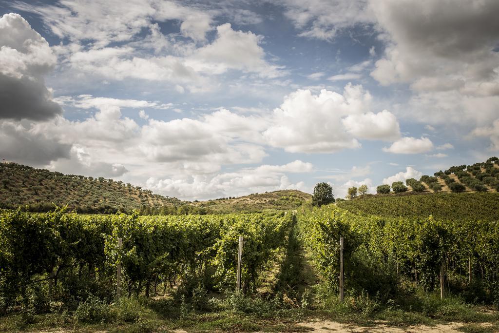 Agriturismo Il Giriatello โครโตเน ภายนอก รูปภาพ
