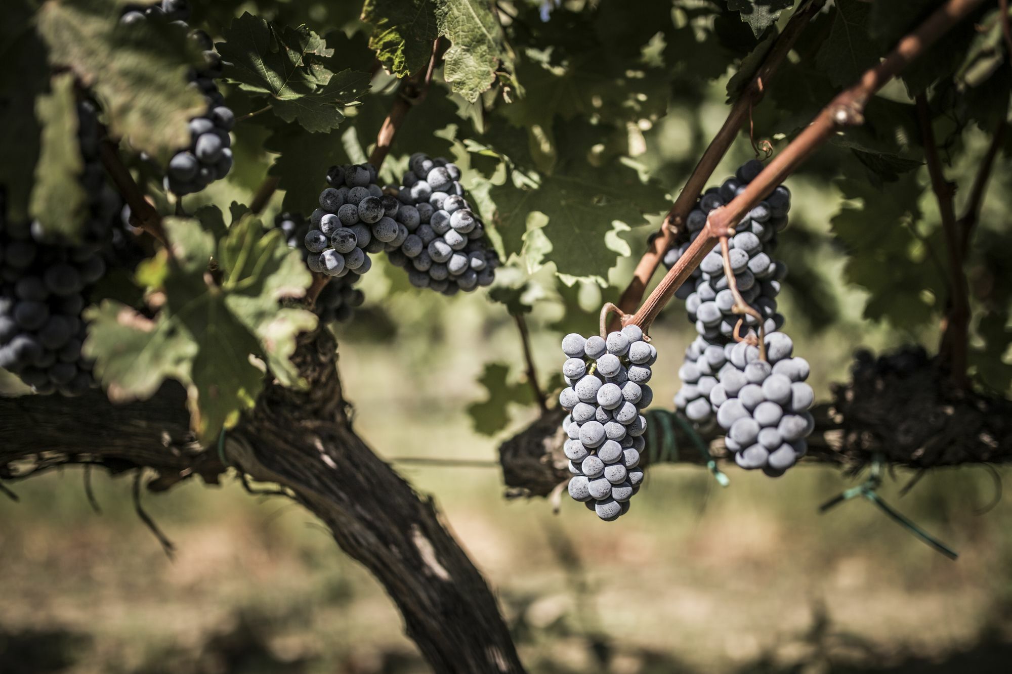 Agriturismo Il Giriatello โครโตเน ภายนอก รูปภาพ