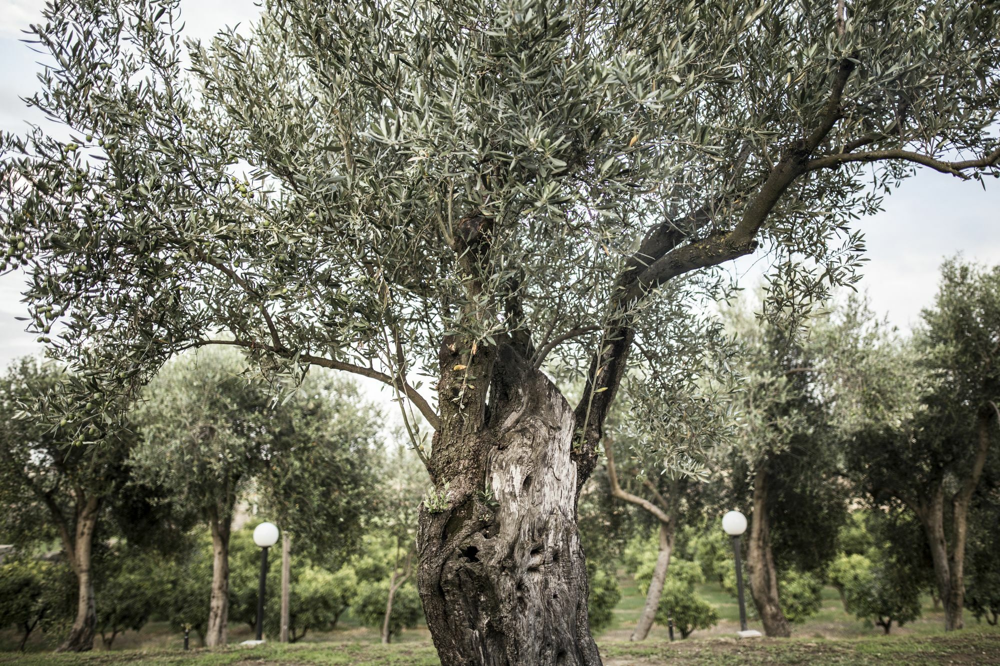Agriturismo Il Giriatello โครโตเน ภายนอก รูปภาพ